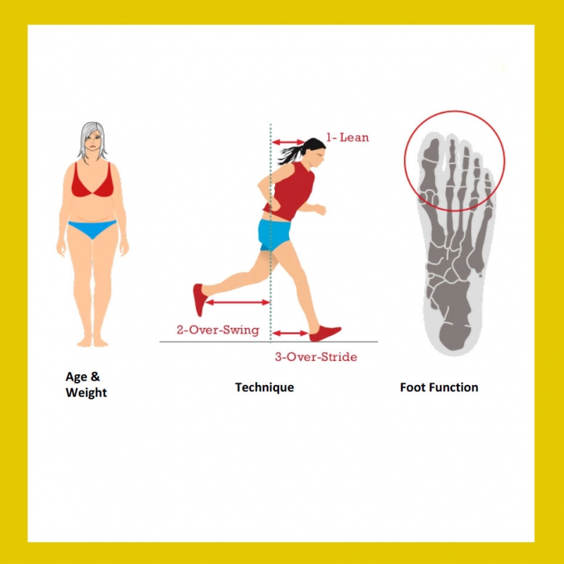 Bildlich dargestellt wie wichtig die Funktion der Großzehe ist